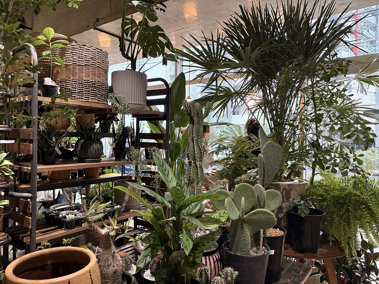 多摩区役所近くのflower toujours cafe